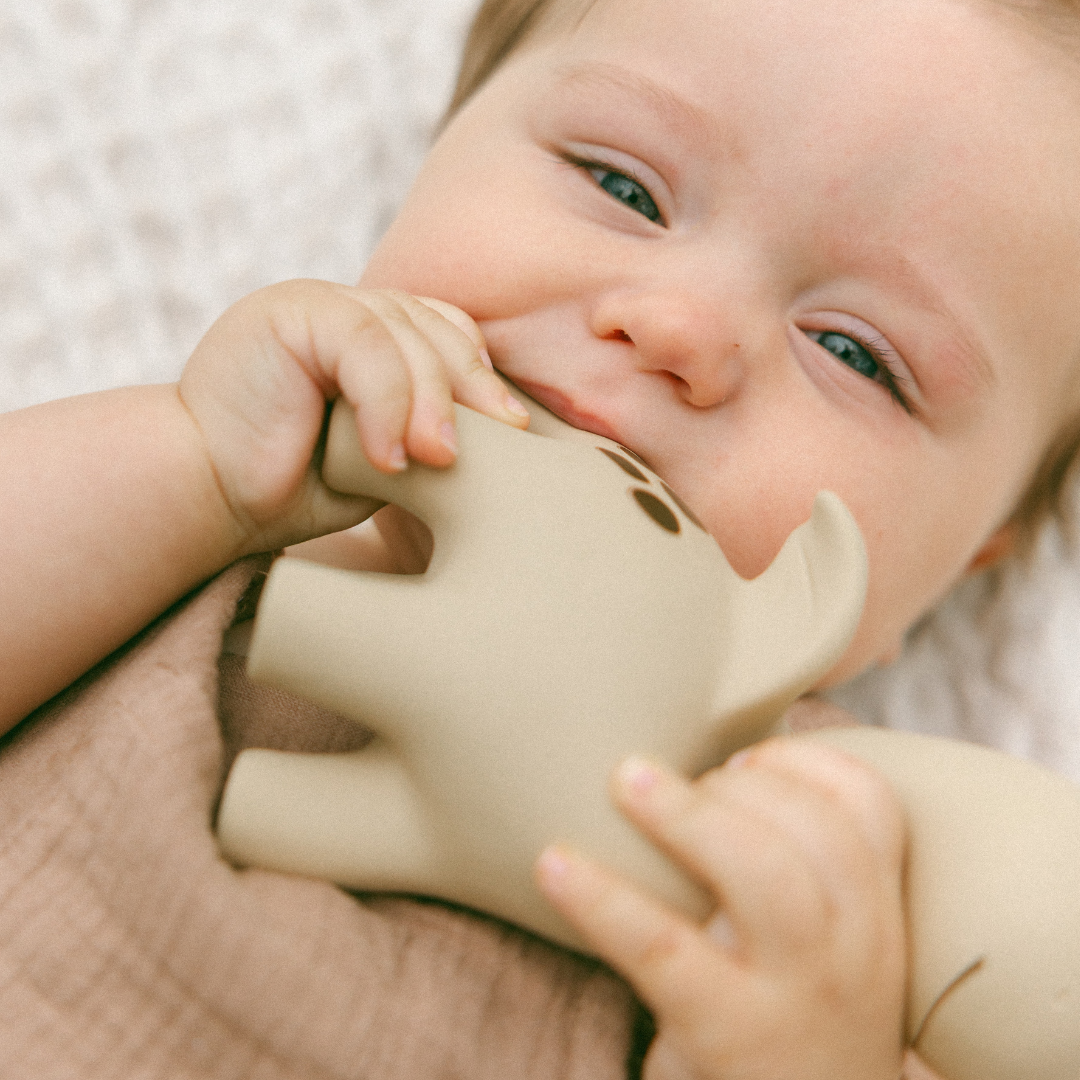 Diplo the Dino-Dragon Natural Rubber Teether: Brown