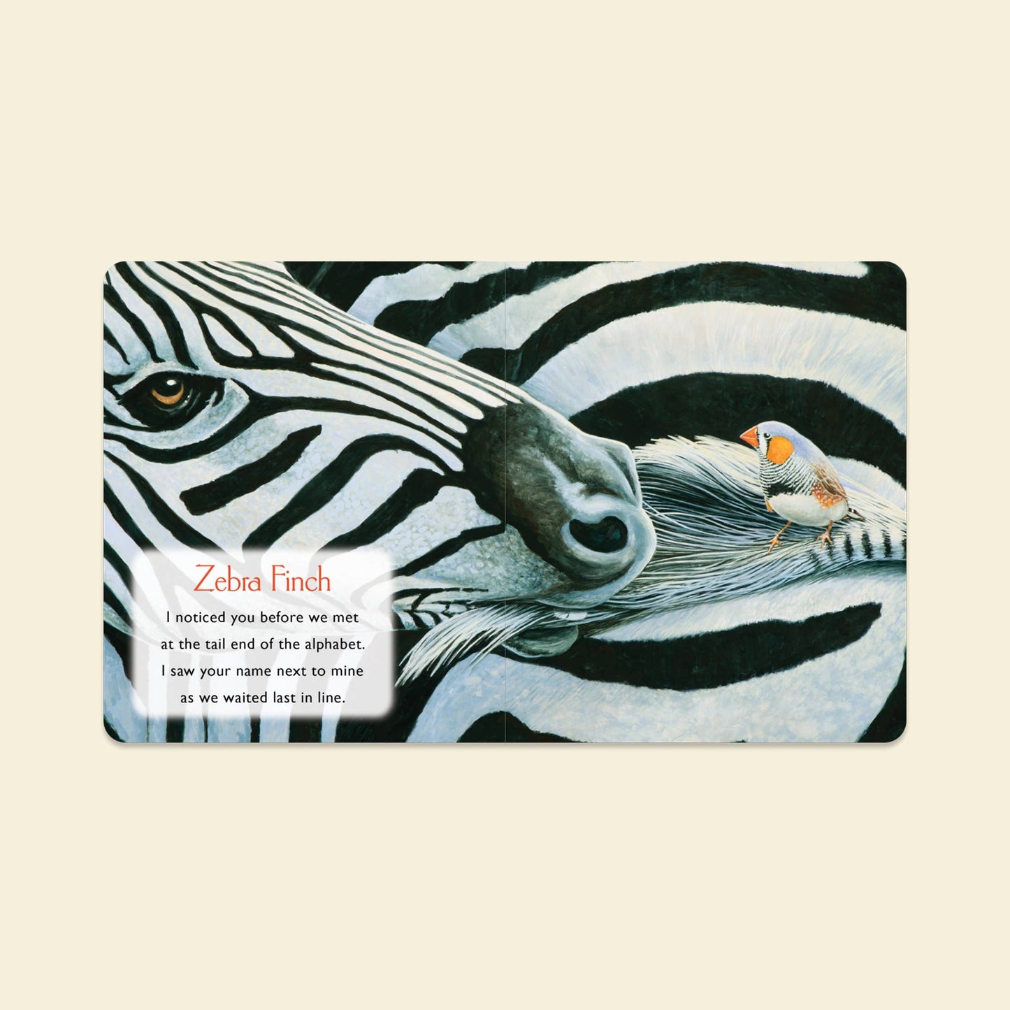 You Stole My Name: Board Book